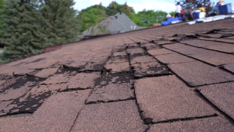 Best Roofing for New Construction  in Steelton, PA